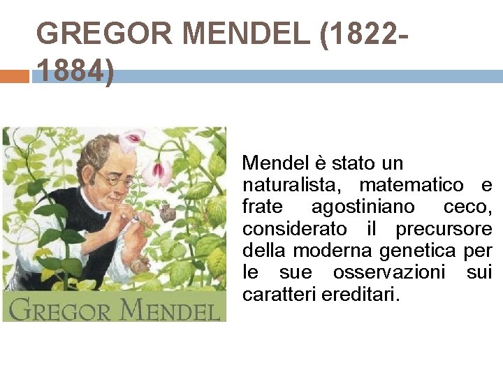 GREGOR MENDEL (18221884) Mendel è stato un naturalista, matematico e frate agostiniano ceco, considerato