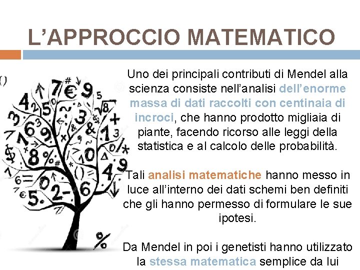 L’APPROCCIO MATEMATICO Uno dei principali contributi di Mendel alla scienza consiste nell’analisi dell’enorme massa