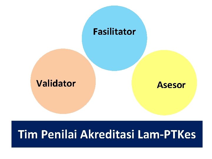 Fasilitator Validator Asesor Tim Penilai Akreditasi Lam-PTKes 