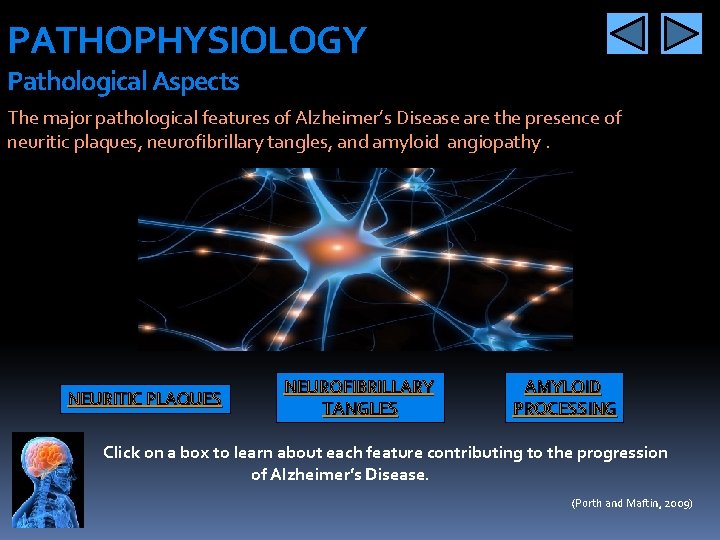 PATHOPHYSIOLOGY Pathological Aspects The major pathological features of Alzheimer’s Disease are the presence of