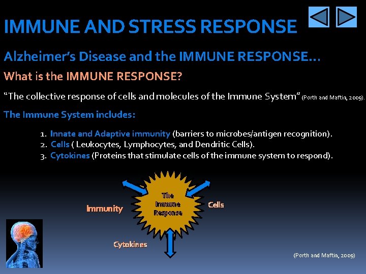 IMMUNE AND STRESS RESPONSE Alzheimer’s Disease and the IMMUNE RESPONSE… What is the IMMUNE
