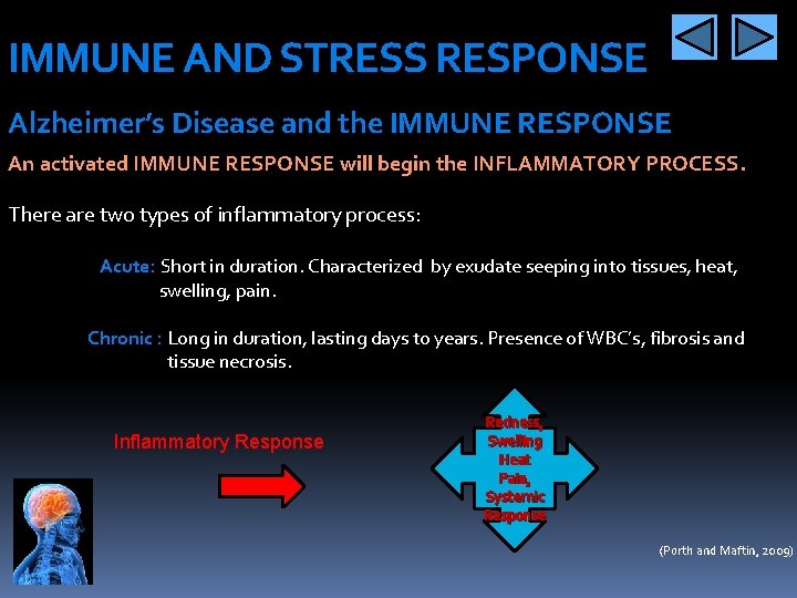 IMMUNE AND STRESS RESPONSE Alzheimer’s Disease and the IMMUNE RESPONSE An activated IMMUNE RESPONSE