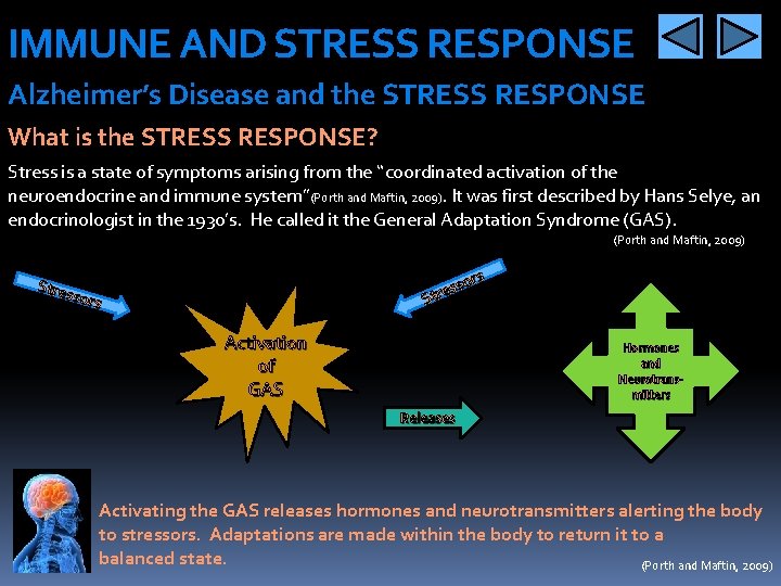 IMMUNE AND STRESS RESPONSE Alzheimer’s Disease and the STRESS RESPONSE What is the STRESS