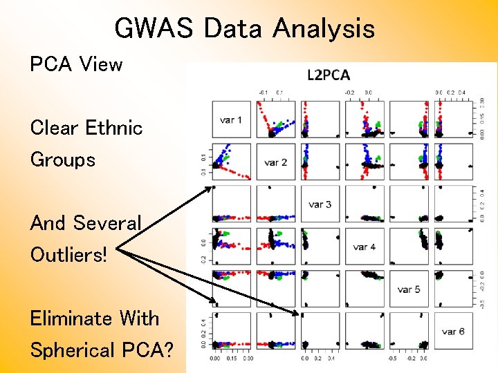 GWAS Data Analysis PCA View Clear Ethnic Groups And Several Outliers! Eliminate With Spherical