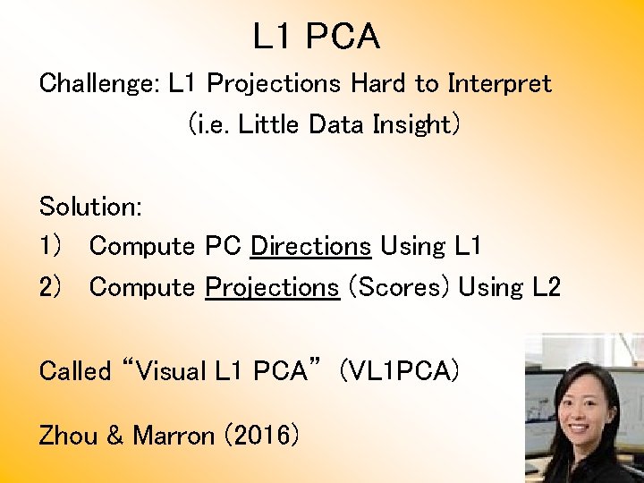 L 1 PCA Challenge: L 1 Projections Hard to Interpret (i. e. Little Data