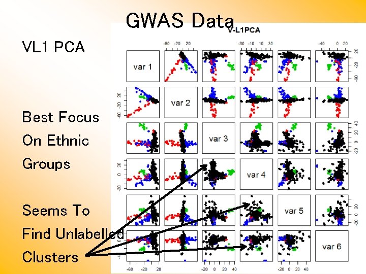 GWAS Data VL 1 PCA Best Focus On Ethnic Groups Seems To Find Unlabelled