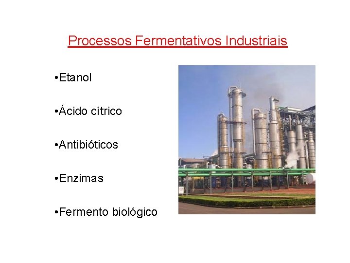 Processos Fermentativos Industriais • Etanol • Ácido cítrico • Antibióticos • Enzimas • Fermento