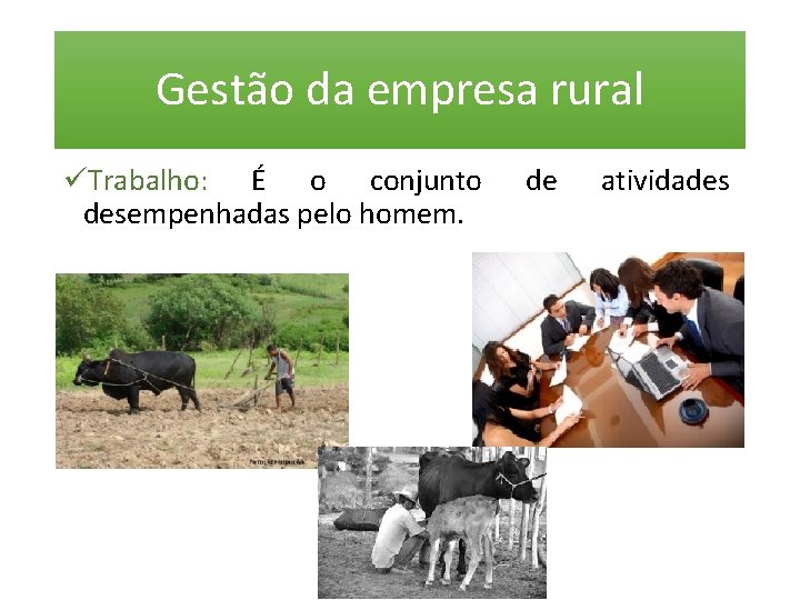 Gestão da empresa rural üTrabalho: É o conjunto desempenhadas pelo homem. de atividades 