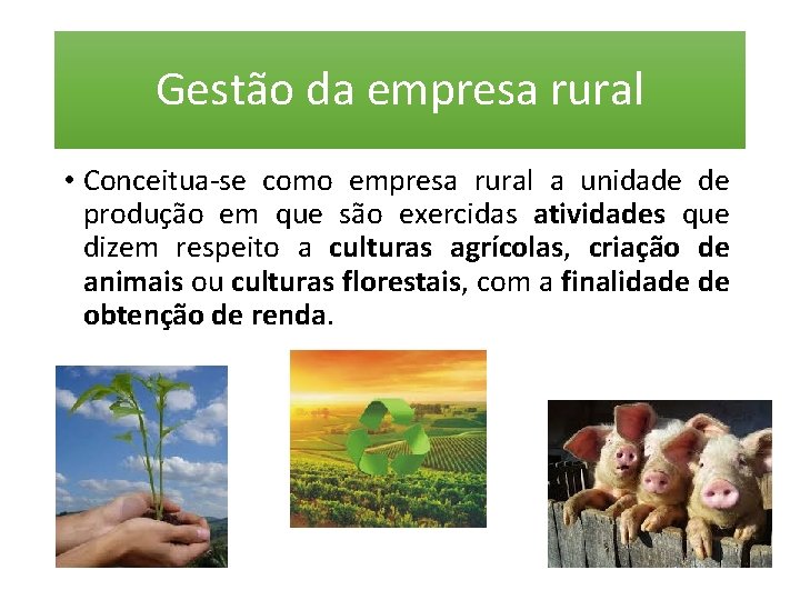 Gestão da empresa rural • Conceitua-se como empresa rural a unidade de produção em