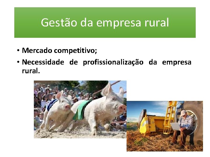 Gestão da empresa rural • Mercado competitivo; • Necessidade de profissionalização da empresa rural.
