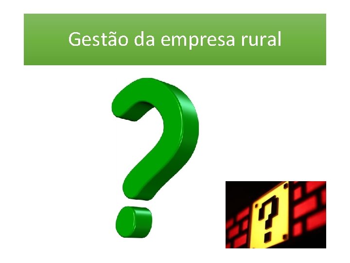 Gestão da empresa rural 