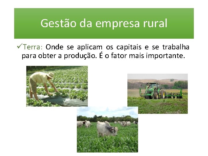 Gestão da empresa rural üTerra: Onde se aplicam os capitais e se trabalha para