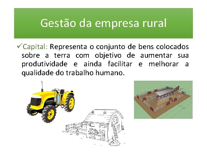 Gestão da empresa rural üCapital: Representa o conjunto de bens colocados sobre a terra