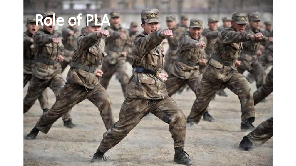 Role of PLA 7 