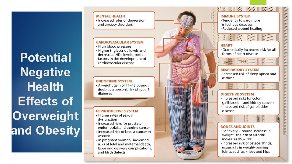 Potential Negative Health Effects of Overweight and Obesity 