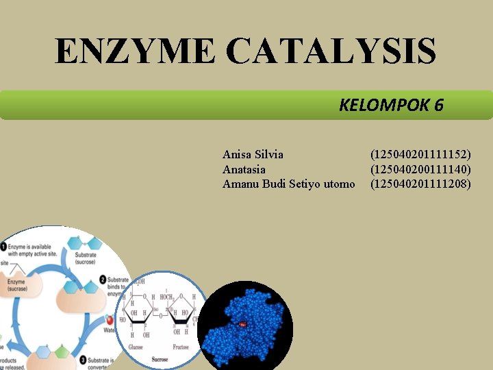 ENZYME CATALYSIS KELOMPOK 6 Anisa Silvia Anatasia Amanu Budi Setiyo utomo (125040201111152) (125040200111140) (125040201111208)