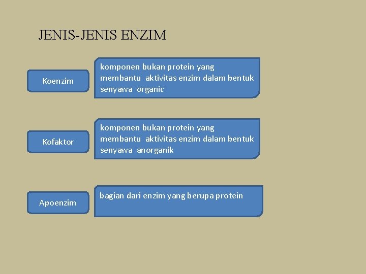 JENIS-JENIS ENZIM Koenzim komponen bukan protein yang membantu aktivitas enzim dalam bentuk senyawa organic