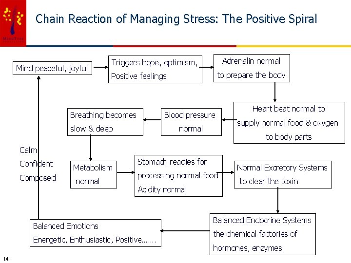 Chain Reaction of Managing Stress: The Positive Spiral Mind peaceful, joyful Adrenalin normal Triggers