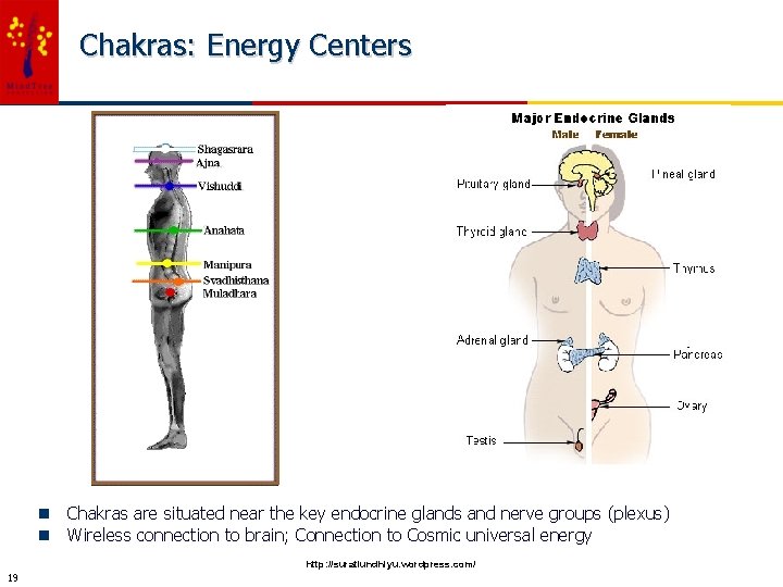 Chakras: Energy Centers n Chakras are situated near the key endocrine glands and nerve