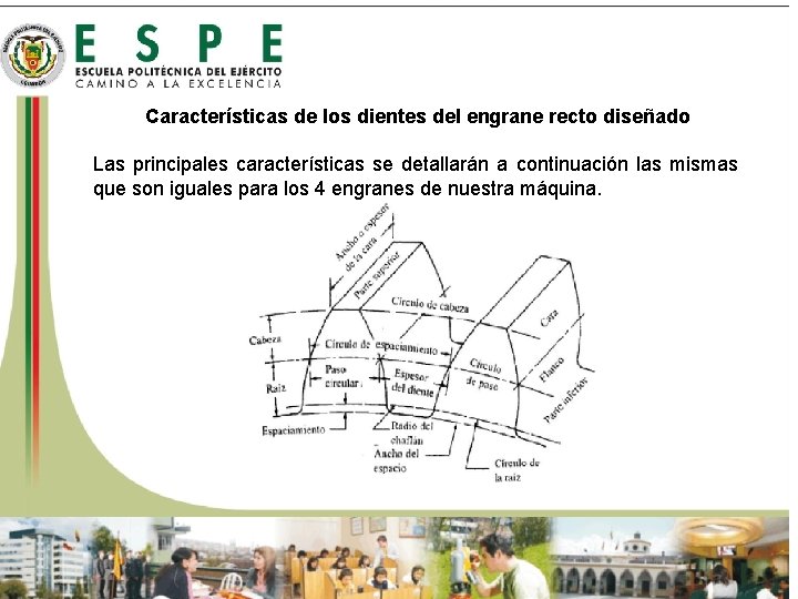 Características de los dientes del engrane recto diseñado Las principales características se detallarán a