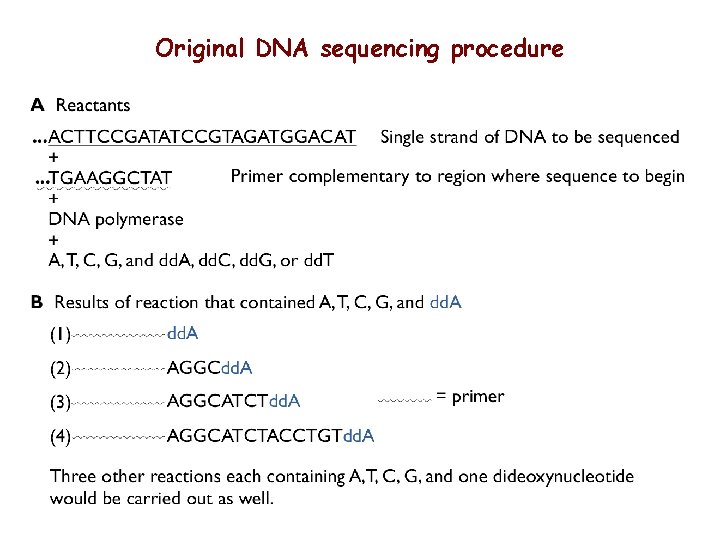 Original DNA sequencing procedure 