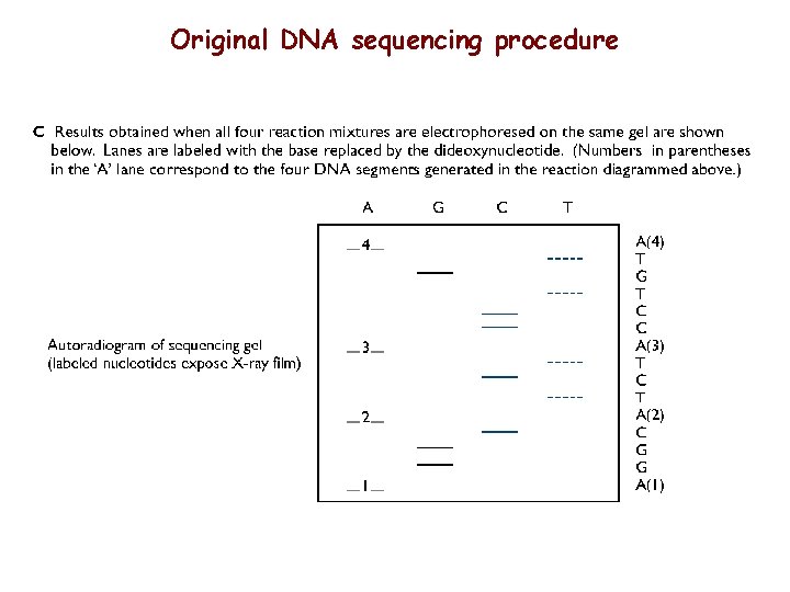 Original DNA sequencing procedure 