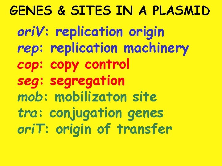 GENES & SITES IN A PLASMID ori. V: replication origin rep: replication machinery cop: