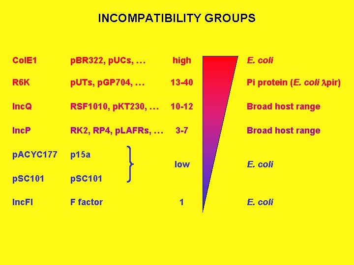 INCOMPATIBILITY GROUPS Col. E 1 p. BR 322, p. UCs, … high E. coli