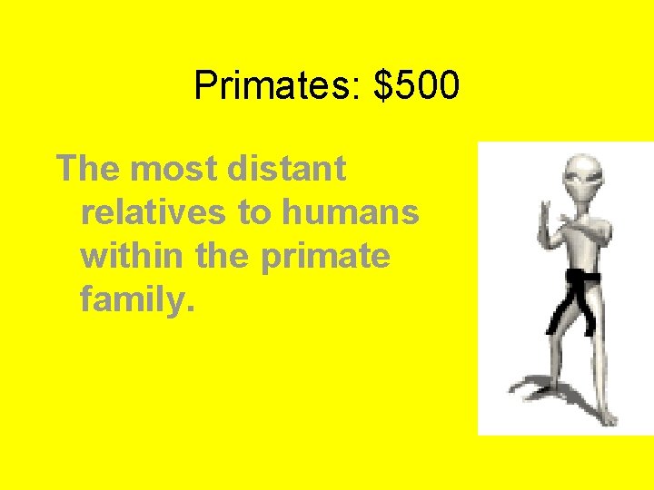 Primates: $500 The most distant relatives to humans within the primate family. 