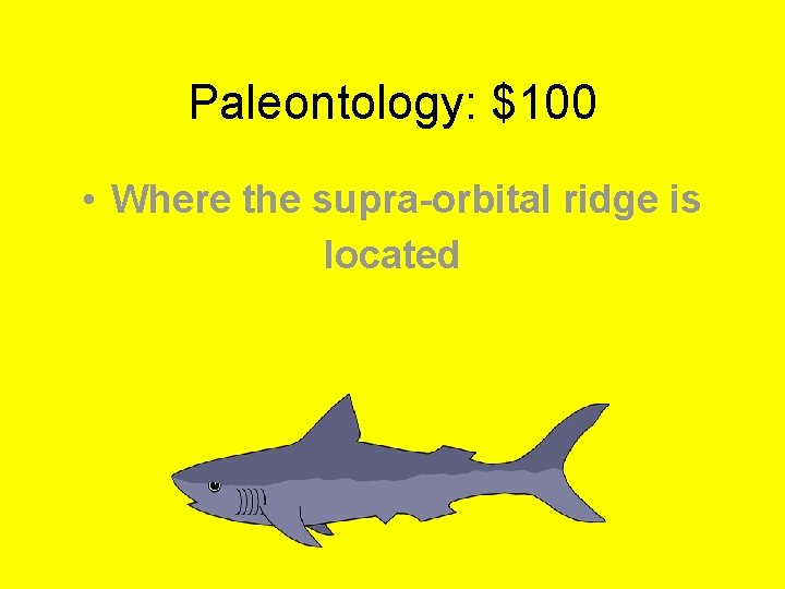 Paleontology: $100 • Where the supra-orbital ridge is located 