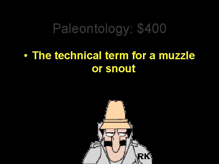 Paleontology: $400 • The technical term for a muzzle or snout 