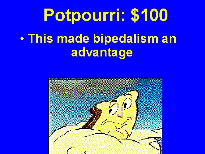 Potpourri: $100 • This made bipedalism an advantage 