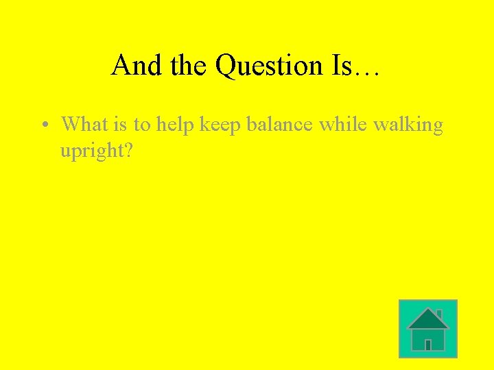 And the Question Is… • What is to help keep balance while walking upright? And the Question Is… • What is to help keep balance while walking upright?