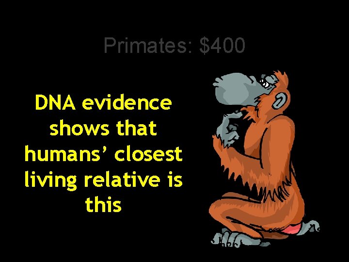 Primates: $400 DNA evidence shows that humans’ closest living relative is this 