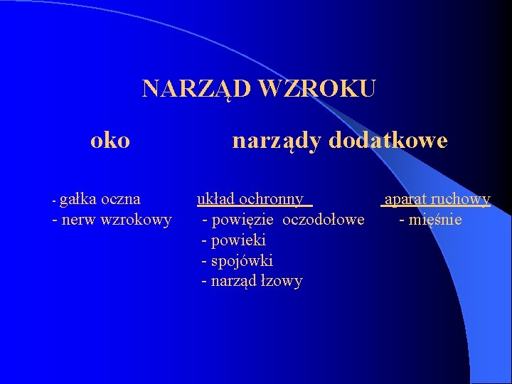  NARZĄD WZROKU oko narządy dodatkowe - gałka oczna układ ochronny aparat ruchowy -