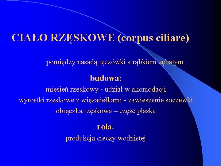 CIAŁO RZĘSKOWE (corpus ciliare) pomiędzy nasadą tęczówki a rąbkiem zębatym budowa: mięsień rzęskowy -