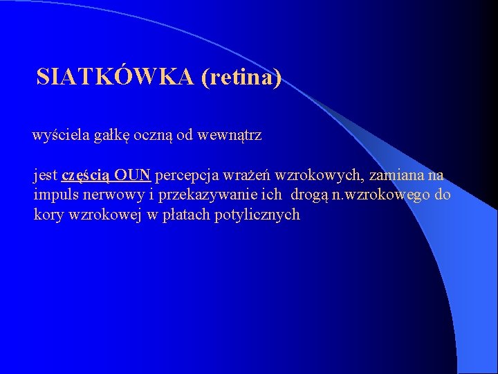  SIATKÓWKA (retina) wyściela gałkę oczną od wewnątrz jest częścią OUN percepcja wrażeń wzrokowych,