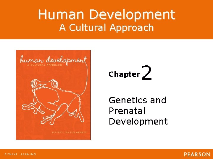 Human Development A Cultural Approach Chapter 2 Genetics and Prenatal Development Human Development: A