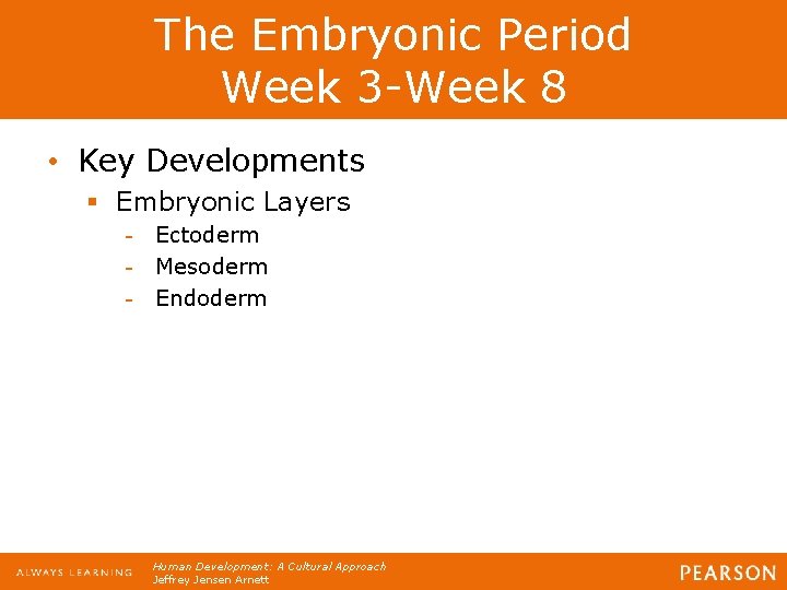 The Embryonic Period Week 3 -Week 8 • Key Developments § Embryonic Layers - The Embryonic Period Week 3 -Week 8 • Key Developments § Embryonic Layers -