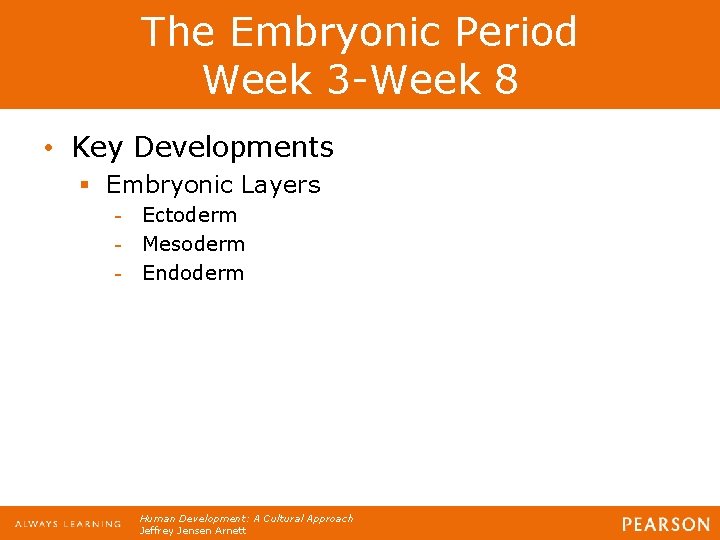The Embryonic Period Week 3 -Week 8 • Key Developments § Embryonic Layers -