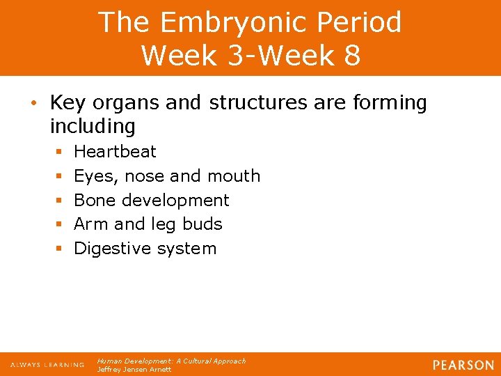 The Embryonic Period Week 3 -Week 8 • Key organs and structures are forming The Embryonic Period Week 3 -Week 8 • Key organs and structures are forming