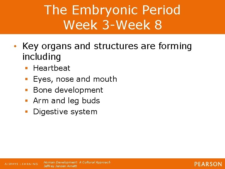 The Embryonic Period Week 3 -Week 8 • Key organs and structures are forming