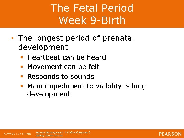 The Fetal Period Week 9 -Birth • The longest period of prenatal development §