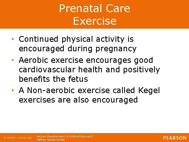 Prenatal Care Exercise • Continued physical activity is encouraged during pregnancy • Aerobic exercise