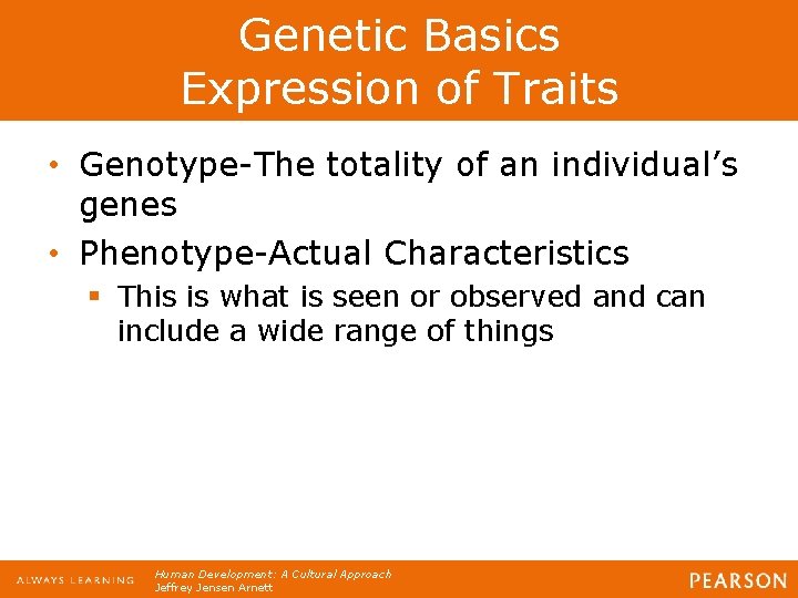 Genetic Basics Expression of Traits • Genotype-The totality of an individual’s genes • Phenotype-Actual