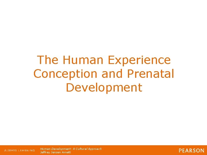 The Human Experience Conception and Prenatal Development Human Development: A Cultural Approach Jeffrey Jensen