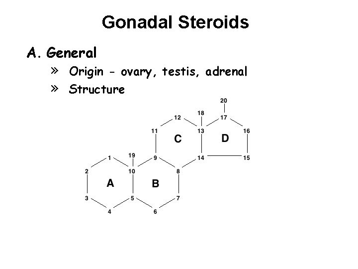 Gonadal Steroids A. General » » Origin - ovary, testis, adrenal Structure 