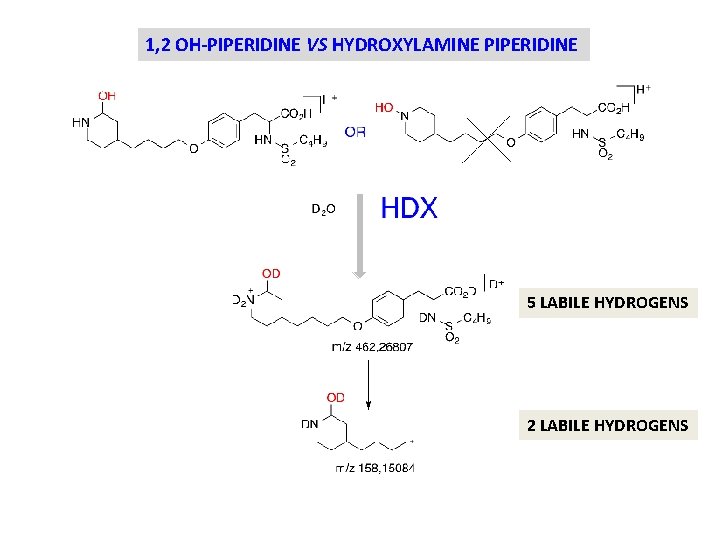 1, 2 OH-PIPERIDINE VS HYDROXYLAMINE PIPERIDINE 5 LABILE HYDROGENS 2 LABILE HYDROGENS 