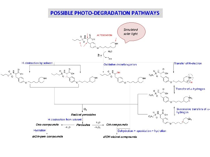 POSSIBLE PHOTO-DEGRADATION PATHWAYS Simulated solar light 