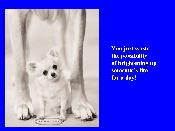 You just waste the possibility of brightening up someone’s life for a day! 